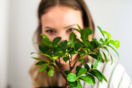 clouse up of a house plant, a bonsai, with a young woman in the background