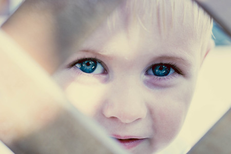 Male Young Kid Peeking Over a Wooden Fence and Staring at the Cameraの写真素材