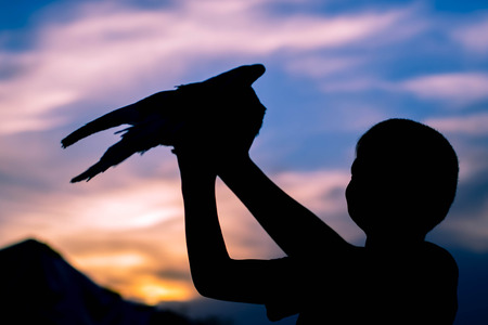 Silhouette of a boy holding a bird. Dove. Sunset sky.の写真素材