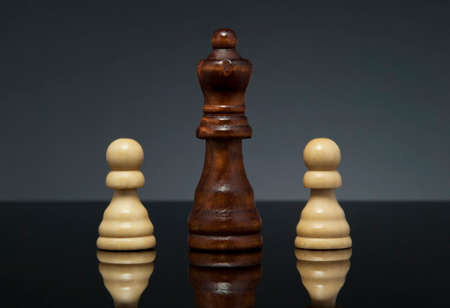Queen and two pawns, on gray background with reflection. Landscape format.