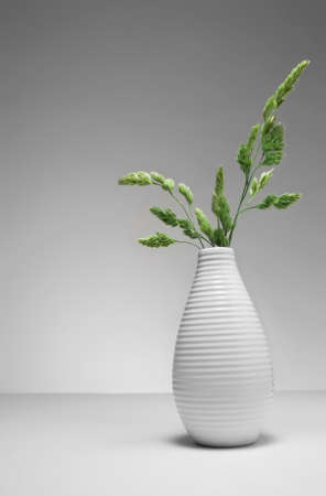 Background with green field straws  in flowerpot. Minimalistic environment. Studio shoot.の写真素材