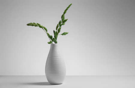 Background with green field straws  in flowerpot. Minimalistic environment. Studio shoot.の写真素材