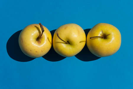 Fresh Yellow Apples on light blue background. の写真素材