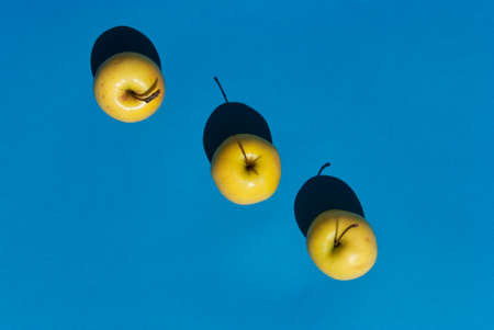 Fresh Yellow Apples on light blue background. の写真素材