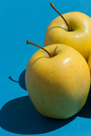 Fresh Yellow Apples on light blue background. の写真素材