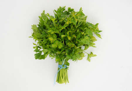 Bunch of ripe parsley on white textured background. Above view.の写真素材