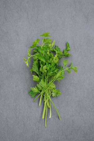 Bunch of parsley on dark and moody textured background. Above view.の写真素材