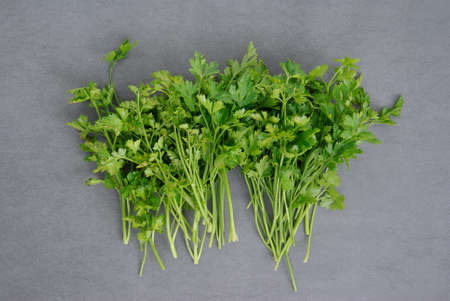 Bunch of parsley on dark and moody textured background. Above view.