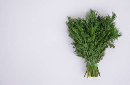 Fresh dill on white texture background. Above view.の写真素材