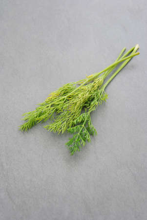 Fresh dill on dark stone background. Top view.の写真素材