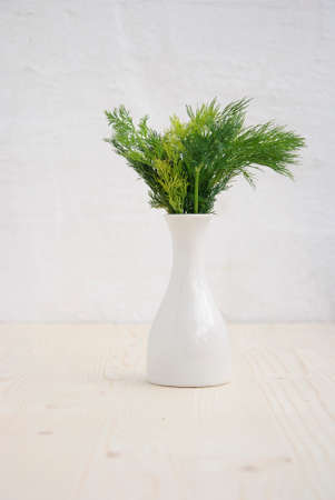 Fresh dill in flowerpot on wood texture backgroundの写真素材