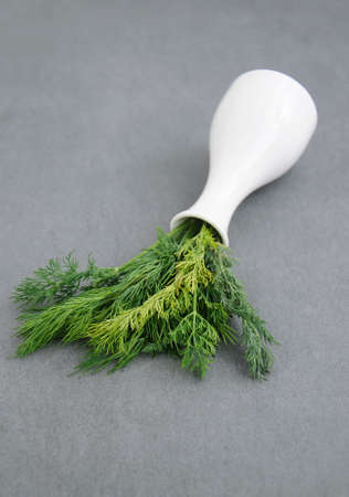 Fresh dill in flowerpot on stone texture background. Above view.の写真素材
