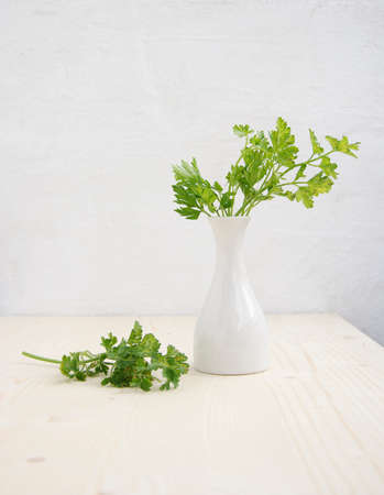Bunch of parsley on white textured wall and wood background.の写真素材