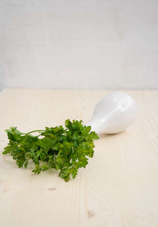 Bunch of parsley on white textured wall and wooden background.の写真素材