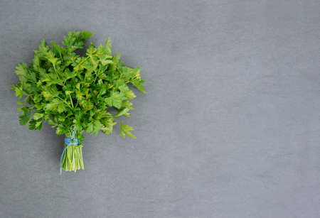 Bunch of ripe parsley on dark and moody textured background. Above view.の写真素材
