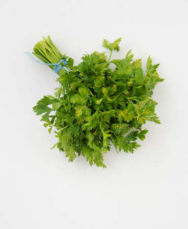 Bunch of ripe parsley on white textured background. Top view.の写真素材