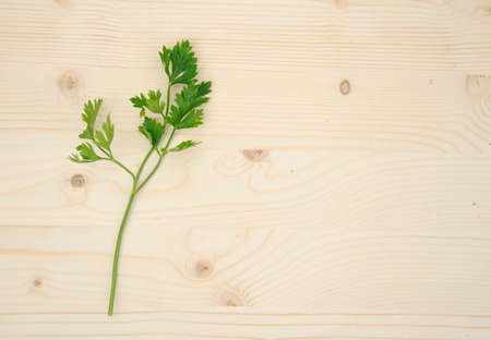Parsley on wood textured background. Above view.の写真素材