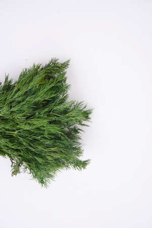 Fresh dill on white texture background. Above view.の写真素材