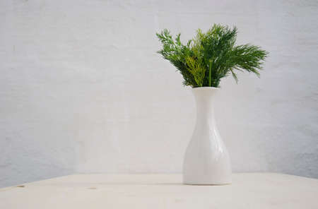 Fresh dill in flowerpot on wood texture backgroundの写真素材
