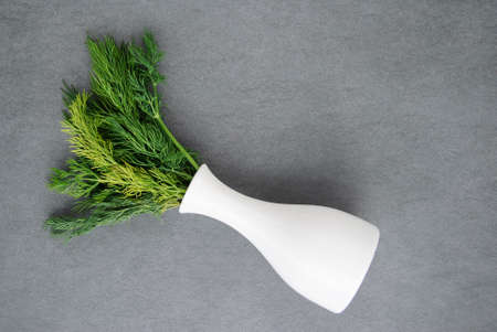 Fresh dill in flowerpot on stone texture background. Above view.の写真素材