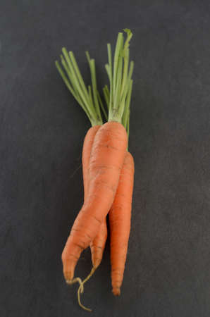 Bunch of carrots on dark textured background. Selective Focus. Narrow depth of field.の写真素材