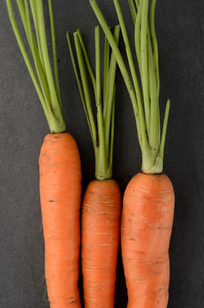 Bunch of carrots on dark textured background. Above view. Selective Focus. Narrow depth of field.の写真素材