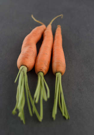 Bunch of carrots on dark textured background. Selective Focus. Narrow depth of field.の写真素材