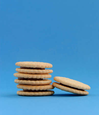Chocolate cream filled cookies on light blue backgroundの写真素材