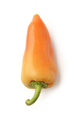 Pepper isolated on white background. Above view.の写真素材