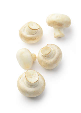 Champignon mushrooms isolated on white background. Above view.の写真素材