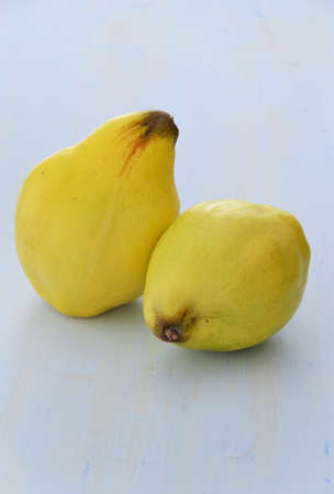 Fresh ripe quinces on blue texutred backgroundの写真素材