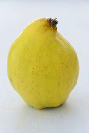 Fresh ripe quince on blue texutred backgroundの写真素材