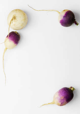 Fresh turnip background with copy space (negative space)の写真素材
