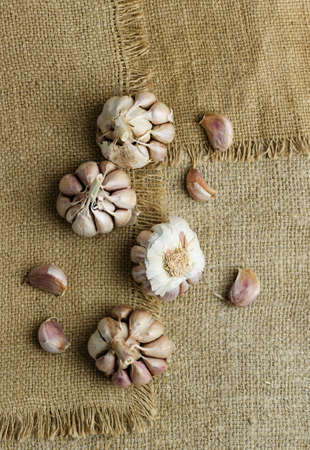Multiple cloves of garlic over burlap, above viewの写真素材
