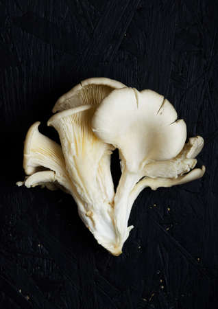 Pleurotus mushrooms over black sawdust tableの写真素材