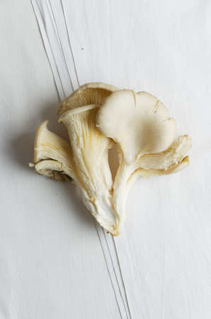 Pleurotus mushrooms over white cloth, above viewの写真素材