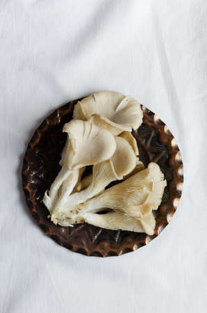 Pleurotus mushrooms on copper plate over white cloth, above viewの写真素材