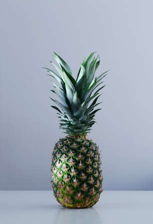 Single pineapple on bluish backgroundの写真素材