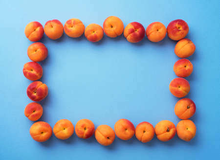 Apricots organized over orange baclground with copy spaceの写真素材