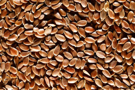 Flaxseedの写真素材