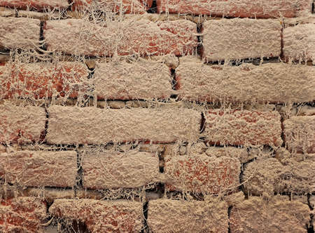 Weathered brick wall with lots of strange materialの写真素材