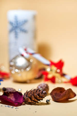 Little offspring and christmas candle の写真素材