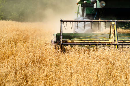 Harvesting machine in wheat crops Harvesting machine in wheat crops