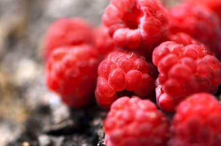 Sweet, fresh, organic raspberry fruit closeup view with wood backgroundの写真素材
