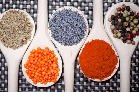 Collection of spices for healthy cooking. Mix of tarragon, bean seeds, poppy seeds, dry red hot chili and pepperの写真素材