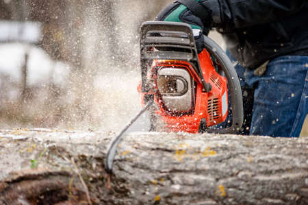 Close-up of man cutting trees from forest or garden with chainsaw and toolsの写真素材