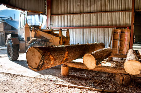 industrial log loader operating at industrial wood production factoryの写真素材