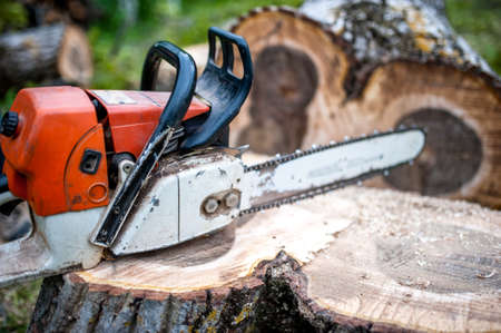 gasoline powered professional chainsaw on pile of cut wood, timber woodの写真素材