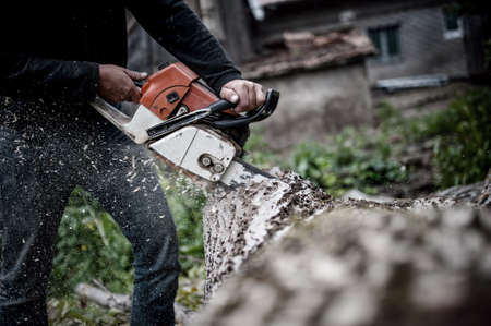 Lumberjack worker in full protective gear cutting firewood and timber in forest with a professional chainsawの写真素材