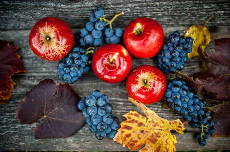 autumn harvest at vineyard and farm with ripe grapes and red apples, fresh and organic fruits readyの写真素材